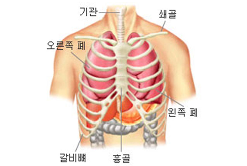 발생부위