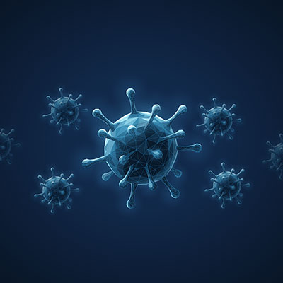 바이러스 감염 및 면역 결핍